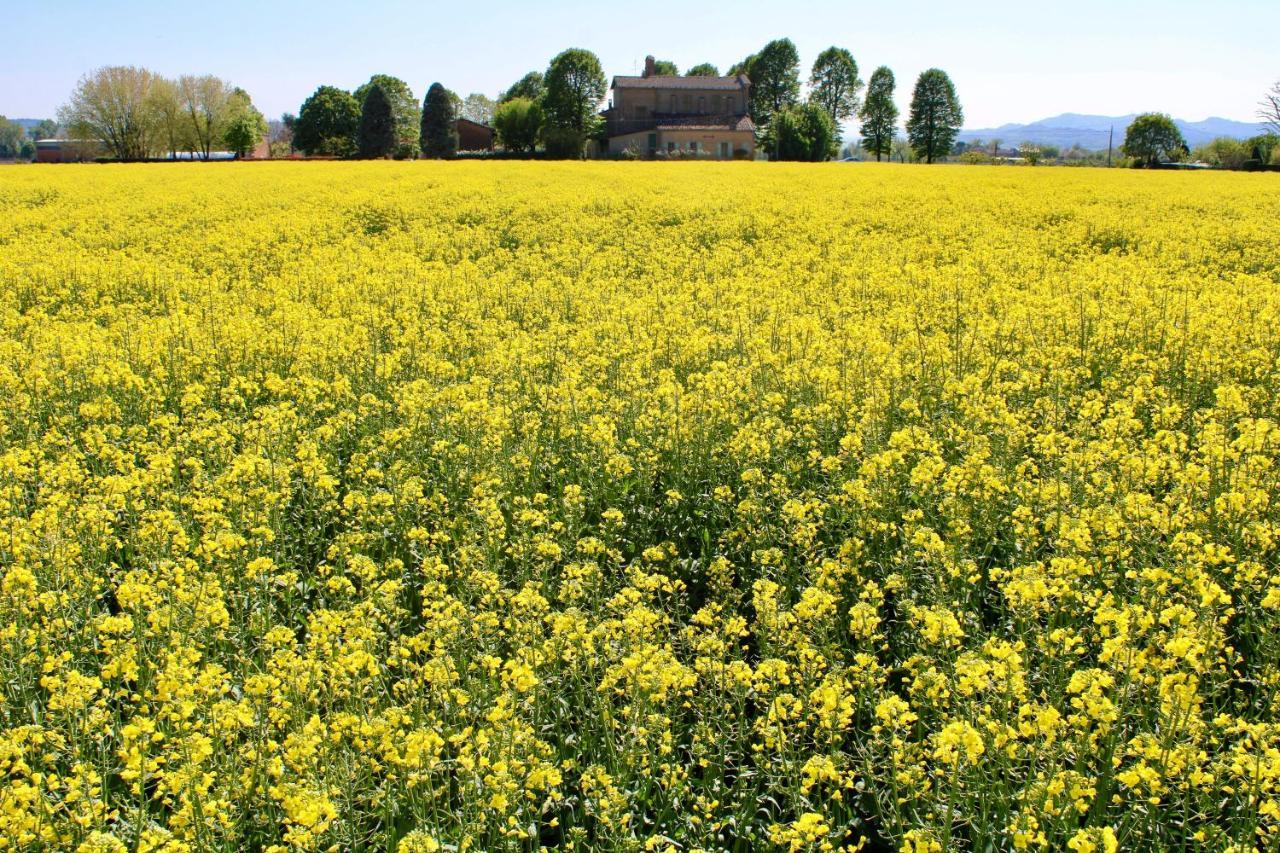 Agriturismo Ravaglia Grande Castel Guelfo Di Bologna Esterno foto