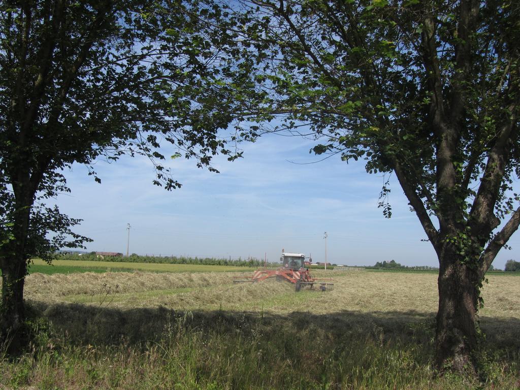 Agriturismo Ravaglia Grande Castel Guelfo Di Bologna Esterno foto